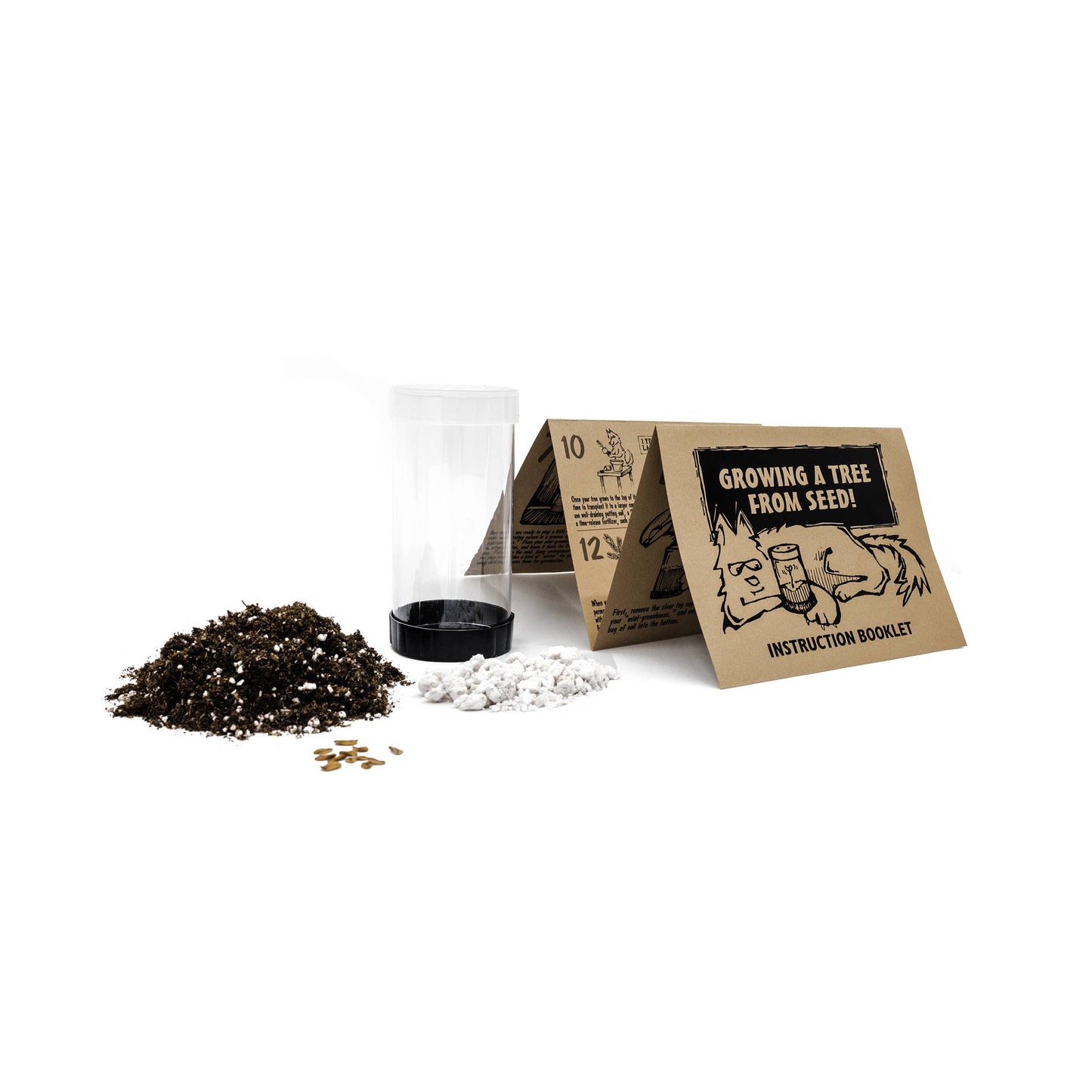 Bonsai Tree | White Design | Seed Grow Kit: Chinese Juniper