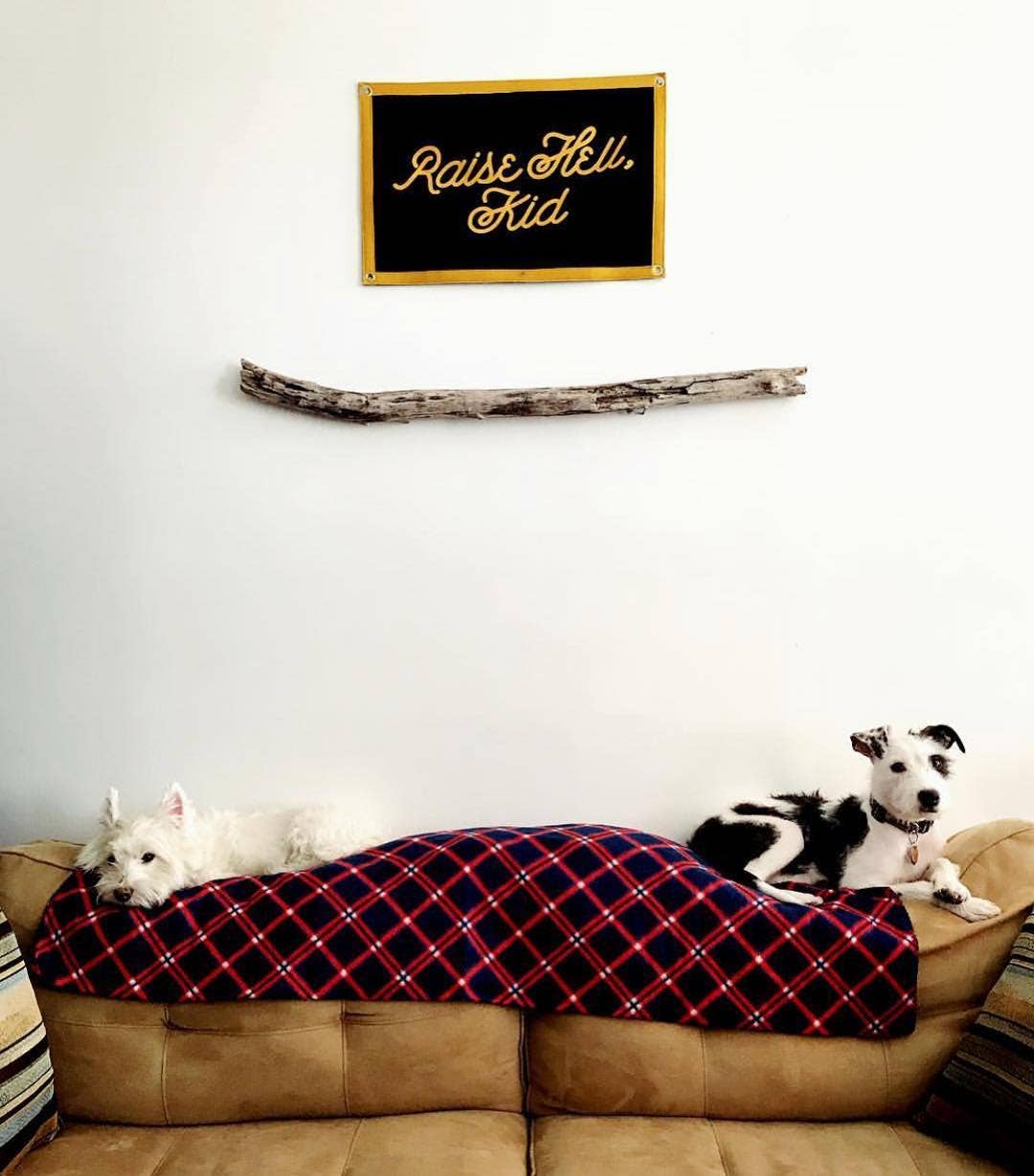 Raise Hell, Kid Camp Flag