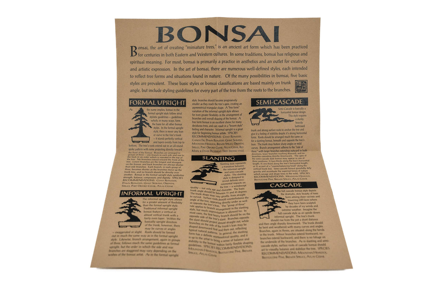 Bonsai Tree | White Design | Seed Grow Kit: Chinese Juniper