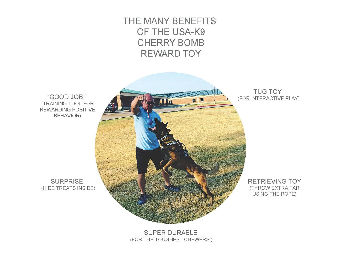 USA-K9 Cherry Bomb - Chew Toy - Reward Toy: Blue / Medium