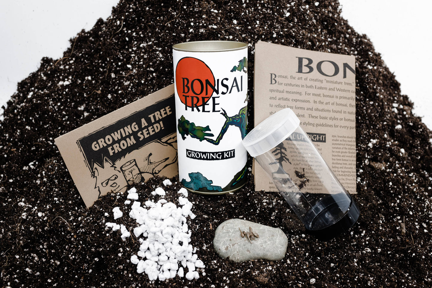 Bonsai Tree | White Design | Seed Grow Kit: Chinese Juniper