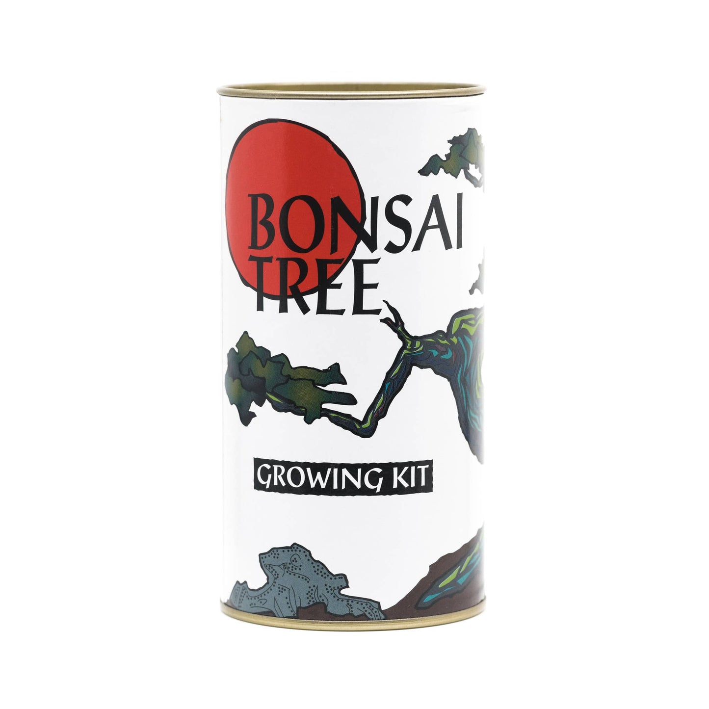 Bonsai Tree | White Design | Seed Grow Kit: Chinese Juniper
