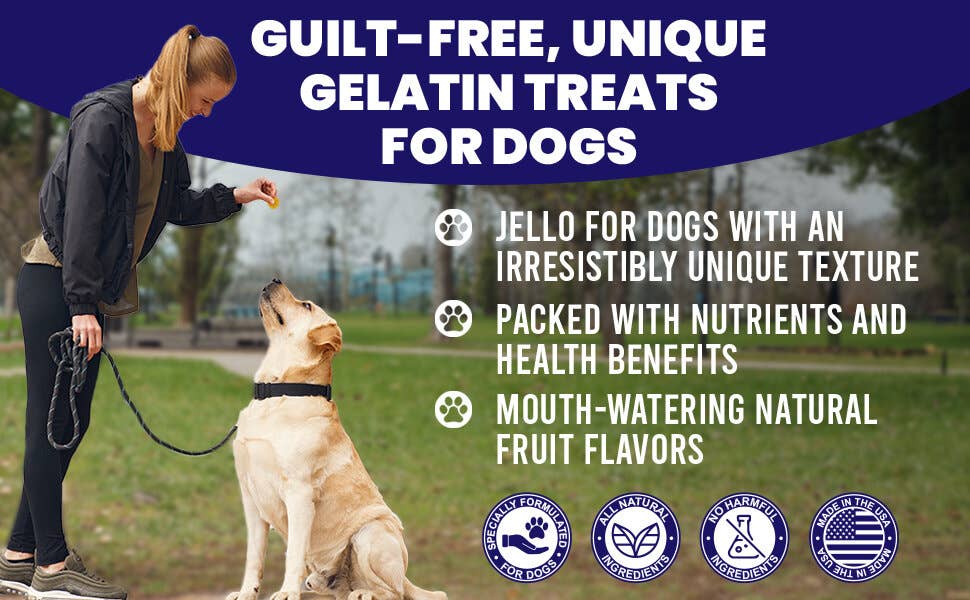 Dogtastic Jelly Shots - Cranberry Flavor: Dogtastic Jelly Shots gelatin mix for dogs - Mango Flavor