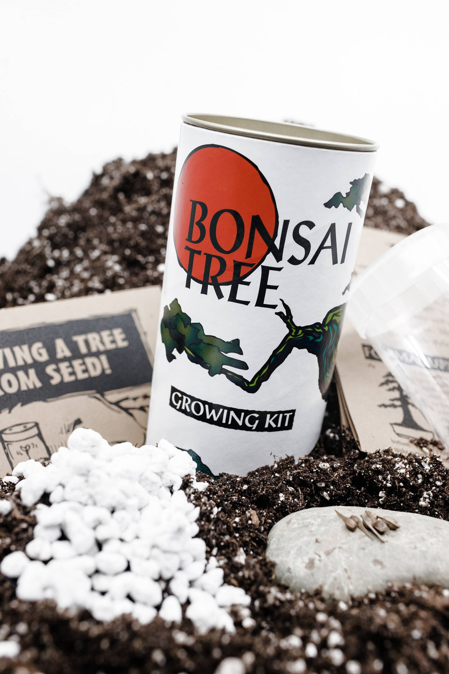 Bonsai Tree | White Design | Seed Grow Kit: Chinese Juniper