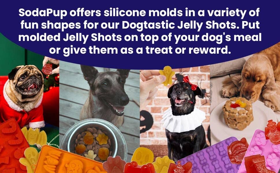 Dogtastic Jelly Shots - Cranberry Flavor: Dogtastic Jelly Shots gelatin mix for dogs - Mango Flavor